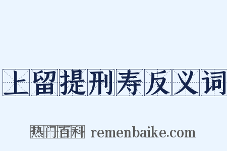 上留提刑寿反义词是什么意思的图片